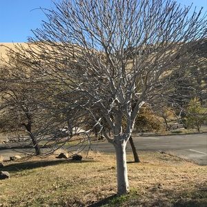 Meet your Posher, Noah